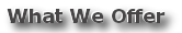 What We Offer